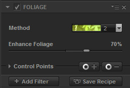 13103001_24_ColorEfex4_Foliage_settings
