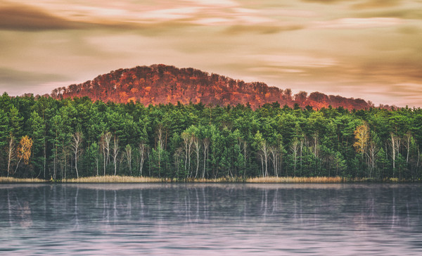 13103001_30_Analog_Efex_Pro_Classic_Camera_3