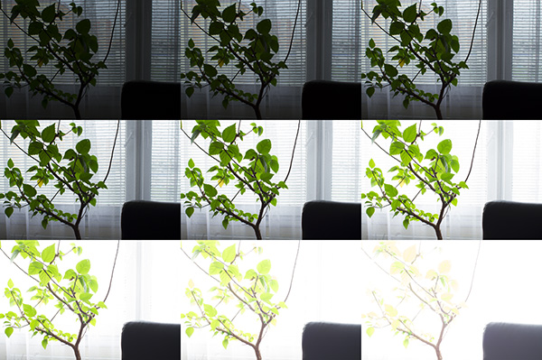 13112101_01_original_photos