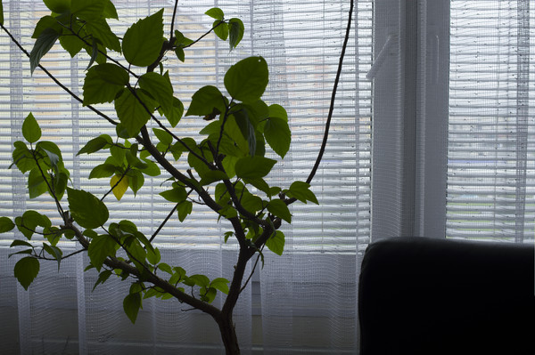 13112101_03_nezpracovany_HDR