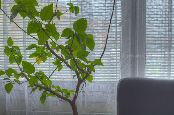 13112101_04_Photomatix_5_Detail_Enhancer