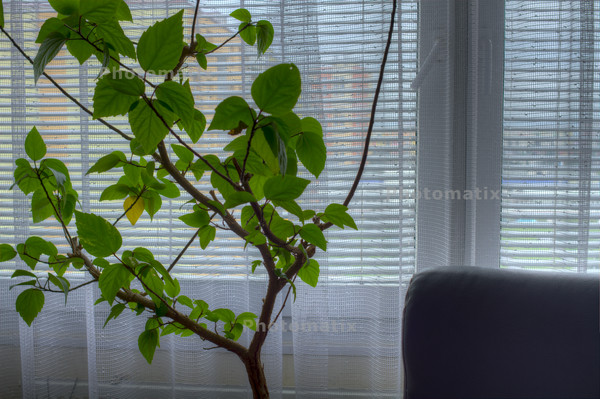 13112101_06_Photomatix_5_Detail_Enhancer_black