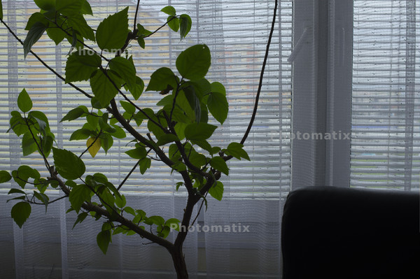 13112101_07_Photomatix_5_Tone_Compressor