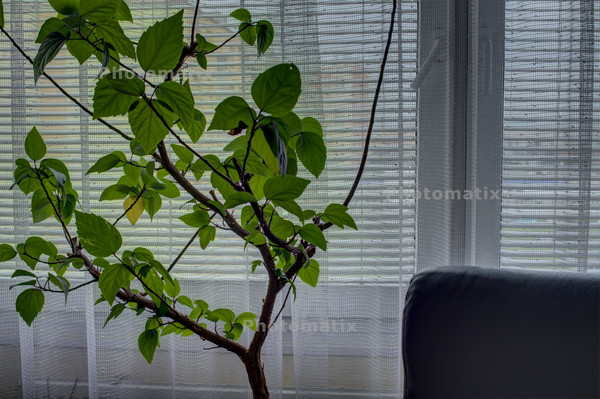 13112101_09_Photomatix_5_Real-Estate