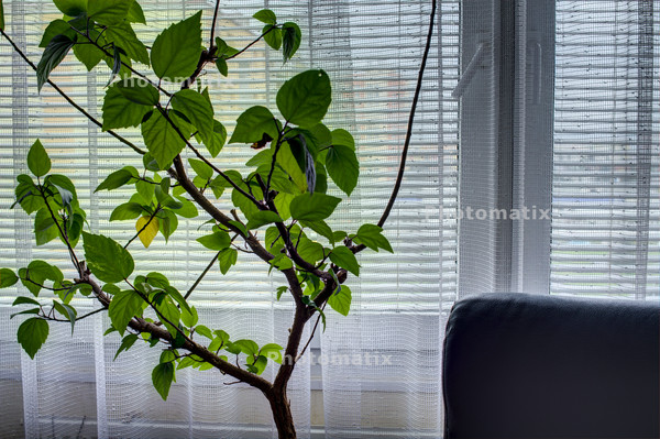 13112101_11_Photomatix_5_Real-Estate_white