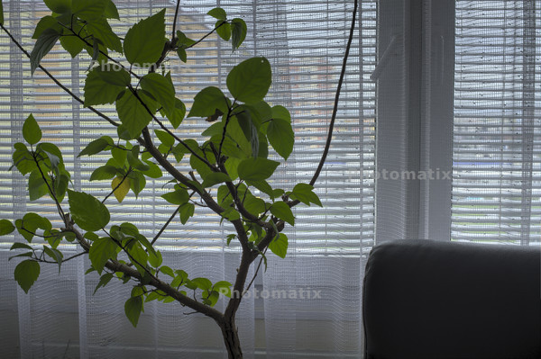 13112101_12_Photomatix_5_Contrast_Optimizer