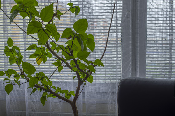 13112101_14_Lightroom_5