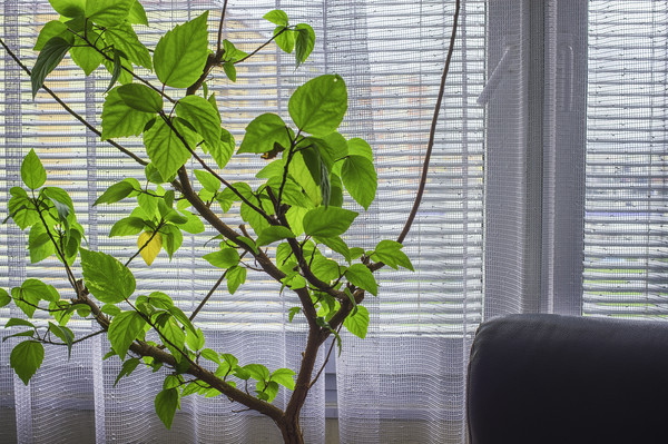 13112101_17_postprocessing