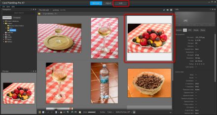 Corel PaintShop X7 prostredi modulu Manage