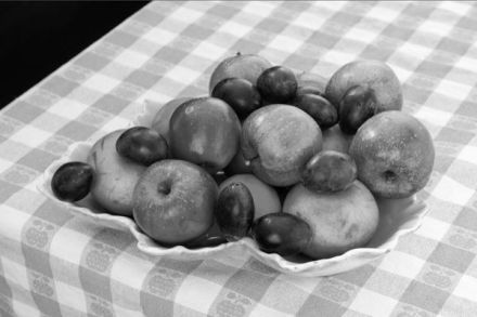 Corel PaintShop X7 desaturovana fotografie