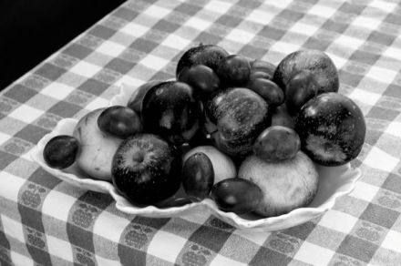 Corel PaintShop X7 zeleny kanal