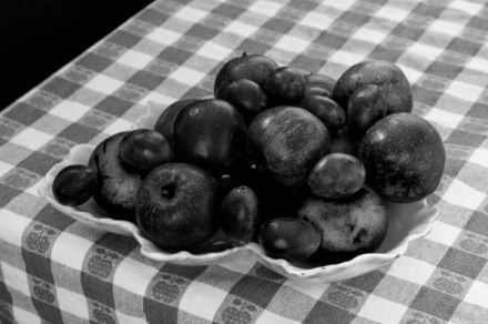 Corel PaintShop X7 modry kanal