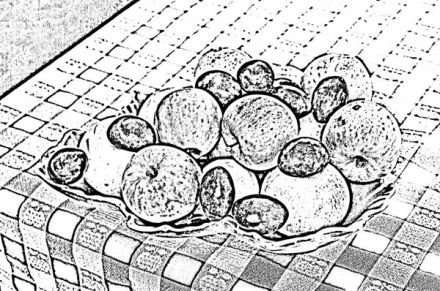 Corel PaintShop X7 cernobila kresba