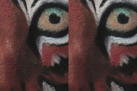 14110101_HDR_tonovani_portretu_03_retus_pleti