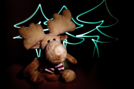 Jan Zeman profi profesionalní fotograf malovaní kreslení světlem malba kresba světlem