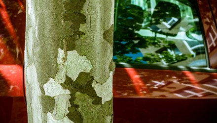 fotografické základy expoziční režimy