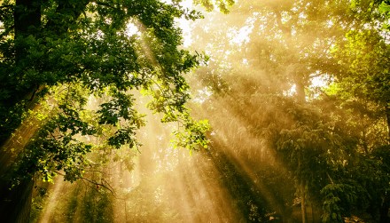 151230_01_000_titulni_foto