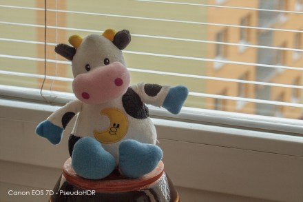 HDR_pseudoHDR_full_02_7D_pseudoHDR