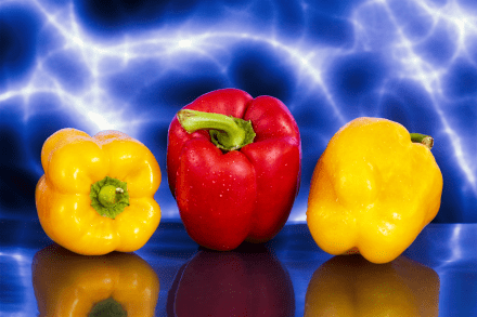 fotografické vychytávky